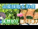 野生のセリで簡単美味しいおかず作り♪【山菜】