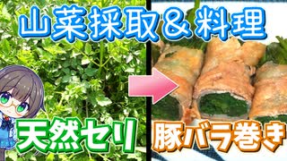 野生のセリで簡単美味しいおかず作り♪【山菜】