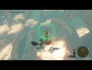 #147【ゼルダの伝説 ティアーズ オブ ザ キングダム】オープンワールドといえば寄り道！