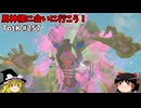 【ゆっくり実況】初めてのティアーズオブザキングダム！ part257【ティアーズオブザキングダム】