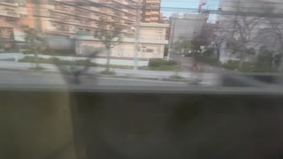 2025/04 難波　新今宮　天王寺　東部市場前　平野　加美　久宝寺　桜