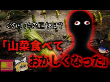 【2020年】『薄いけど採れたてだから？』数ｇ食べるだけで止まらなくなる激しい嘔吐と下痢…血圧低下で最悪命の危険も…ほとんど見分けがつかない春の山菜と毒草の危険【ゆっくり解説】
