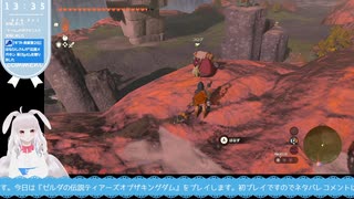 【生放送アーカイブ】祠巡りと北ロウメイ編ティアキン生放送68回目【2/8】