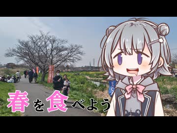 春の味覚を探しに！小春六花、ツクシとノビルを採って食べてみた！
