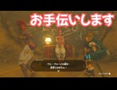 ゼルダの伝説　ティアーズ オブ ザ キングダム　実況プレイPart333