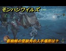 モンハンワイルズ　影蜘蛛の堅鋏角の入手場所は？　武器・防具素材集め入手方法　＃３８４　【モンスターハンターワイルズ】
