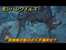 モンハンワイルズ　影蜘蛛の鋭爪の入手場所は？　武器・防具素材集め入手方法　＃３８５　【モンスターハンターワイルズ】