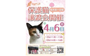 保護ねこの家譲渡会 in 天王寺