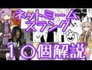 今さら人に聞けないネットのネタ解説その23【結月ゆかり×春日部つむぎ】