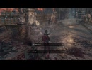 Bloodborne 聖職者の獣・へっぽこ素手狩りチャレンジ再走(輸血液無し)