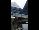 VID_20250405_141734687