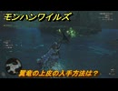モンハンワイルズ　翼竜の上皮の入手方法は？　武器・防具素材集め入手方法　＃３９４　【モンスターハンターワイルズ】