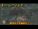 モンハンワイルズ　獣玉の入手場所は？　武器・防具素材集め入手方法　＃３９７　【モンスターハンターワイルズ】