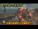 モンハンワイルズ　火竜の尻尾の入手場所は？　武器・防具素材集め入手方法　＃４０３　【モンスターハンターワイルズ】