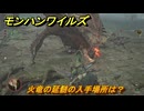 モンハンワイルズ　火竜の延髄の入手場所は？　武器・防具素材集め入手方法　＃４０４　【モンスターハンターワイルズ】