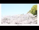 花屑/mai