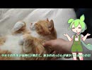 YMM4の導入テスト「サボらないで手を動かすのだ」