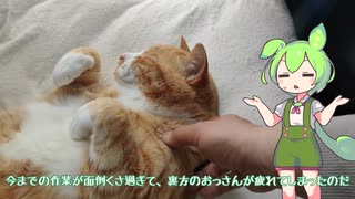 YMM4の導入テスト「サボらないで手を動かすのだ」