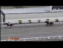 2025年4月5日高知競馬2R 高知競馬場移転４０周年 豊ノ島さんご来場特別(C3-8組) キングダムウイナー