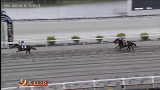 2025年4月5日高知競馬2R 高知競馬場移転４０周年 豊ノ島さんご来場特別(C3-8組) キングダムウイナー