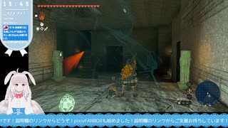 【生放送アーカイブ】祠巡りと北ロウメイ編ティアキン生放送68回目【8/8】