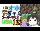 1機しぬまでオホギャンマリオUSA【クロワちゃん実況プレイ】163