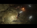 #74【ELDEN RING】痛がっている人が居ます！【エルデンリング初見実況】