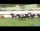 クリノアドバンス　阪神・4歳以上1勝クラス　2025年4月6日