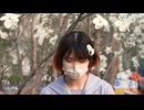 【tomoe】　　aimai　　【   春   】