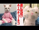 ウチューネコ、変わり身の術を娘猫に破られる