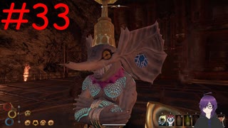 【実況】常に死と隣り合わせの過酷な世界を生き抜く【Outward Definitive Edition】part33