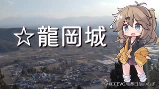 長野の五稜郭、龍岡城を見に行こう【#城郭登城祭第二陣】