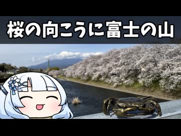 桜の向こうに富士の山