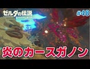 【ゼルダの伝説BotW】初めてのブレワイ！折れない心で未知の世界へ！#48【実況】