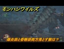 モンハンワイルズ　爆炎袋と昏睡袋両方落とす敵は？　武器・防具素材集め入手方法　＃４１８　【モンスターハンターワイルズ】