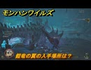 モンハンワイルズ　鎧竜の翼の入手場所は？　武器・防具素材集め入手方法　＃４２１　【モンスターハンターワイルズ】