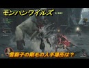 モンハンワイルズ　雪獅子の剛毛の入手場所は？　武器・防具素材集め入手方法　＃４２３　【モンスターハンターワイルズ】