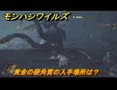 モンハンワイルズ　黄金の硬角質の入手場所は？　武器・防具素材集め入手方法　＃４２８　【モンスターハンターワイルズ】