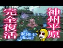 ようやく桜花により塞の芽が開花！！タタリ場が一瞬で元通りに！ひと段落ついたので次なる旅路へ赴く・・・。「大神」Part6