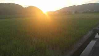 お金を必要としなければならない、お金がないと大変な事態になる、資本主義社会の生き辛さの幻覚、幻術が解ける遠隔法術ヒーリング