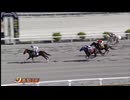 2025年4月6日高知競馬2R 高知競馬場移転４０周年 ばんえい十勝特別(C3-4組) ゴーストバスター