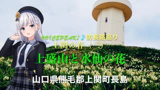 【城郭登城祭】VOICEPEAK♪♪防長路巡り 上関の春（三) 上盛山と水仙の花（+城山補遺）　山口県熊毛郡上関町 　
