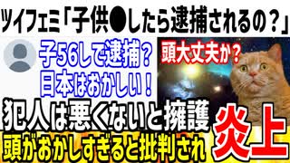 ツイフェミ「自分の子供を●したら逮捕されるの？おかしい！」→当たり前すぎるとネット民も呆れてる模様...