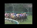2004 阪神牝馬Ｓ(GII)　ヘヴンリーロマンス