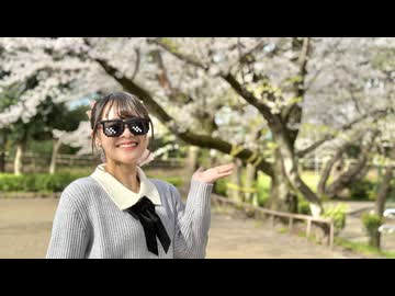 【桜の下で】ハルイチ。 踊ってみた【あきちゃん】