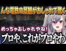 「んな電鉄」に乗り綺麗すぎて感動するリオナちゃん【響咲リオナ/ホロライブ切り抜き】