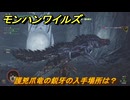 モンハンワイルズ　護兇爪竜の鋭牙の入手場所は？　武器・防具素材集め入手方法　＃４３９　【モンスターハンターワイルズ】