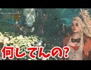 俺をおとりにして何やってんだぁお前！【モンハンワイルズ】