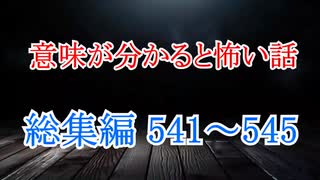 【意味怖】ゆっくり意味が分かると怖い話・総集編541～545【ゆっくり】