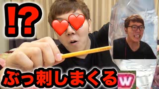 【ヒカキンマニア】勢姿入りの設xキンにTNTNを刺しても勢姿が漏れないらしい